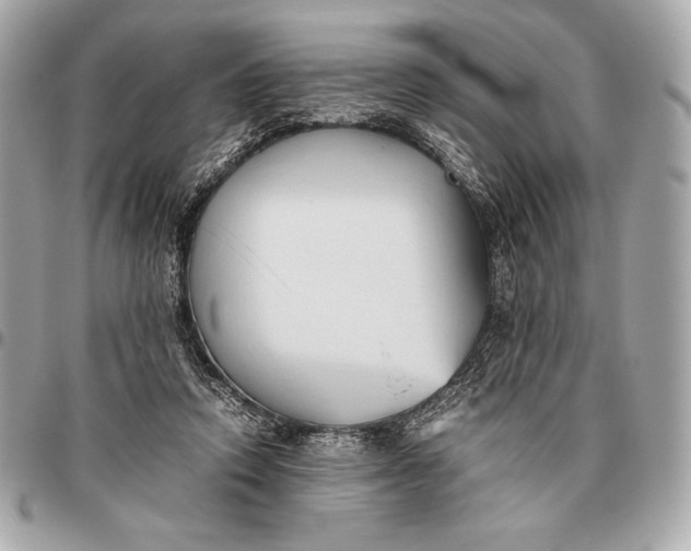 X0000096460354200802071839