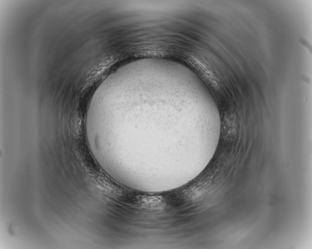 X0000096460355200802071839