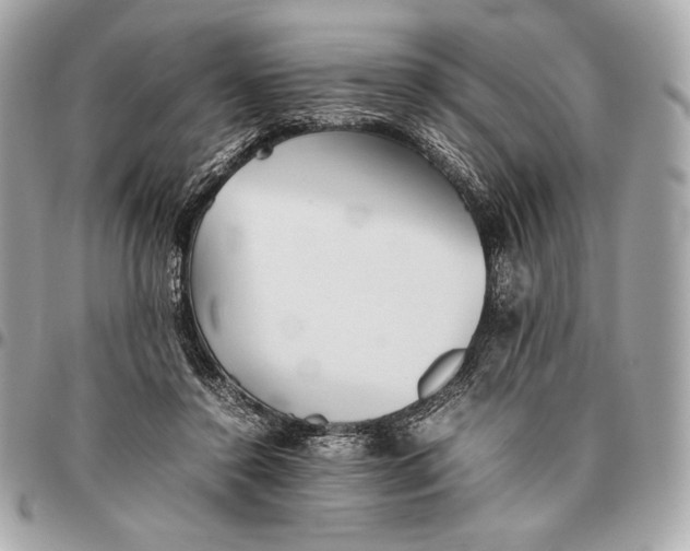 X0000096460356200802071839
