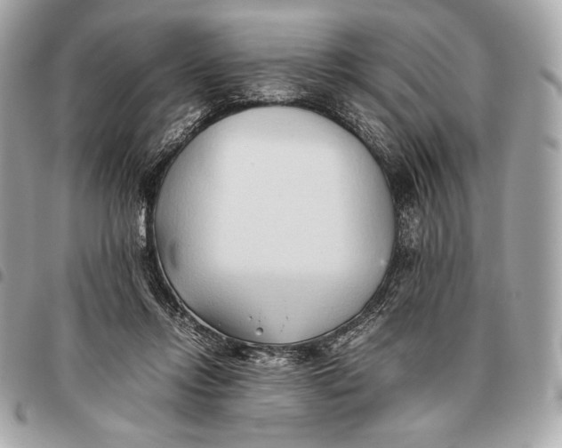 X0000096460358200802071839