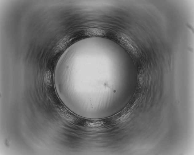 X0000096460359200802071839