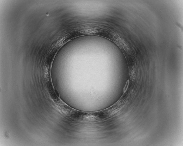 X0000096460360200802071839