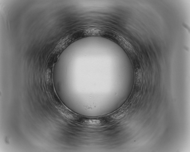 X0000096460361200802071839