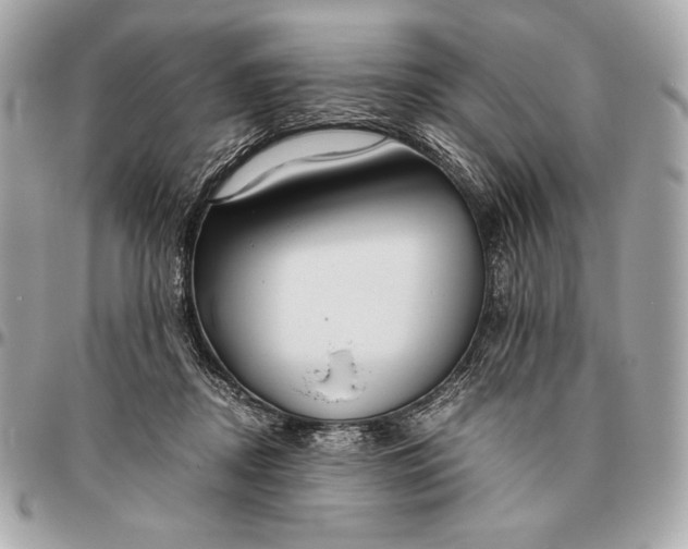 X0000096460362200802071839