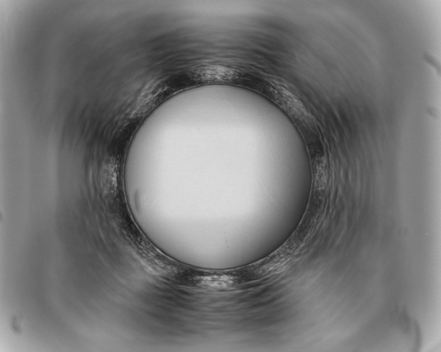 X0000096460363200802071839