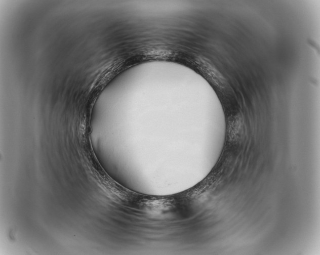X0000096460365200802071839