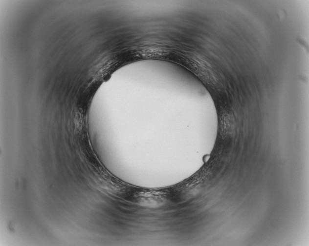 X0000096460367200802071839