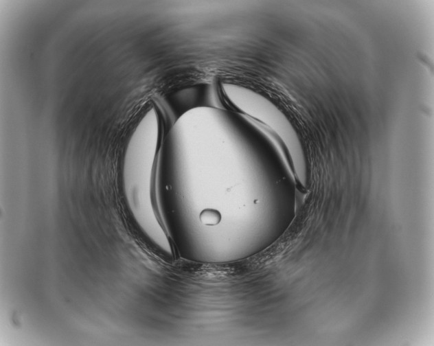 X0000096460368200802071839