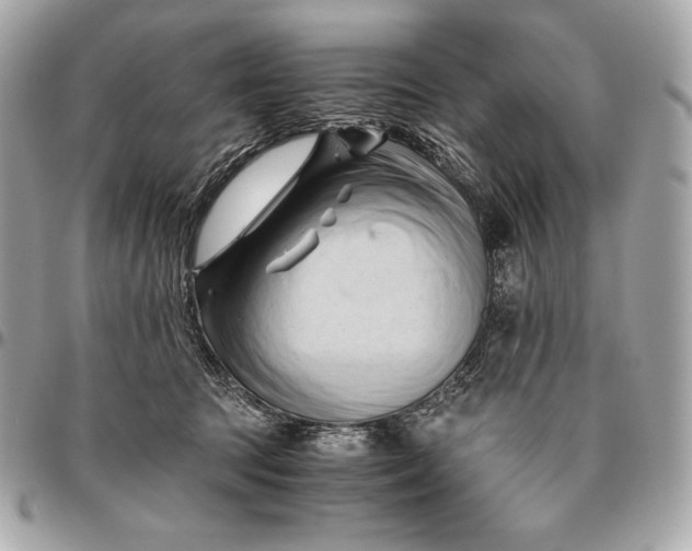 X0000096460369200802071839