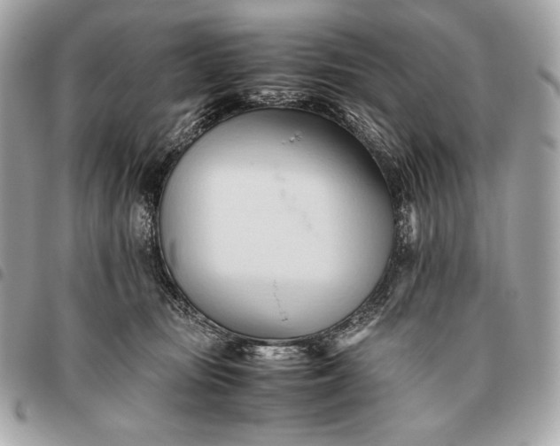 X0000096460371200802071839