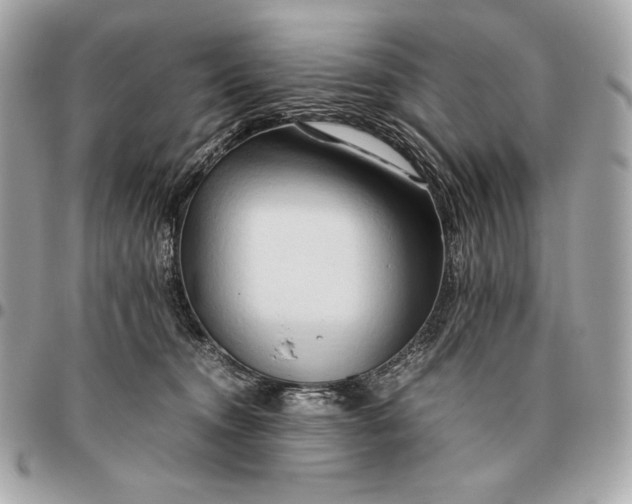 X0000096460372200802071839