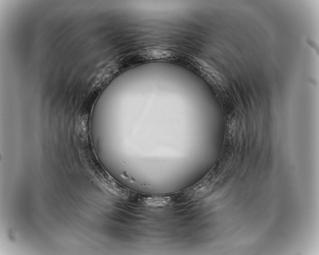 X0000096460373200802071839