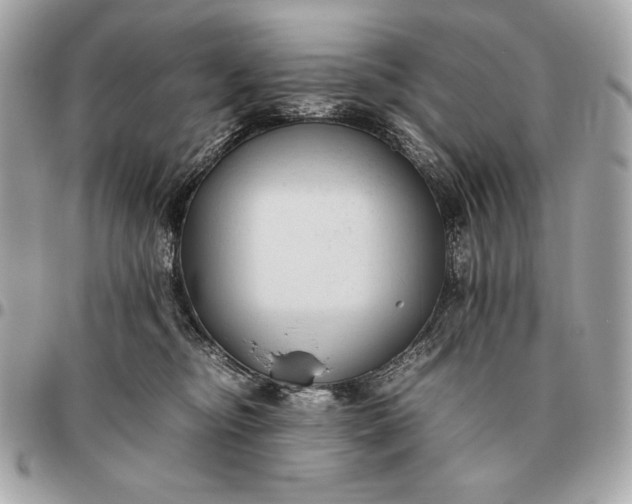 X0000096460374200802071839
