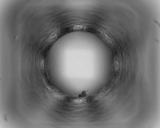 X0000096460375200802071839