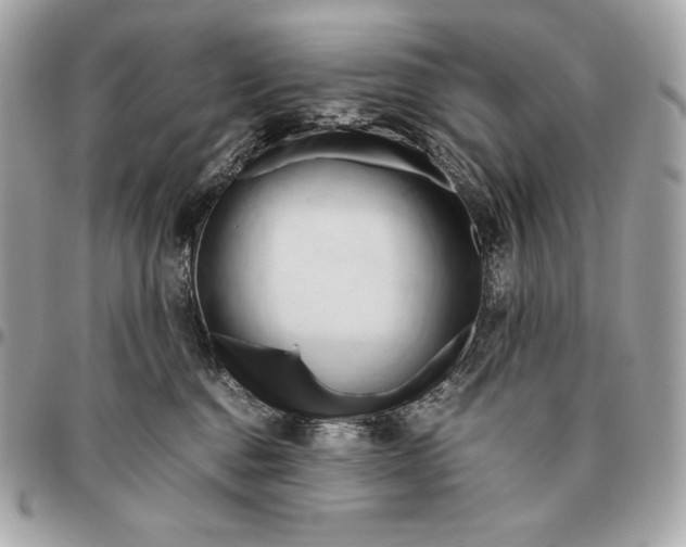 X0000096460376200802071839