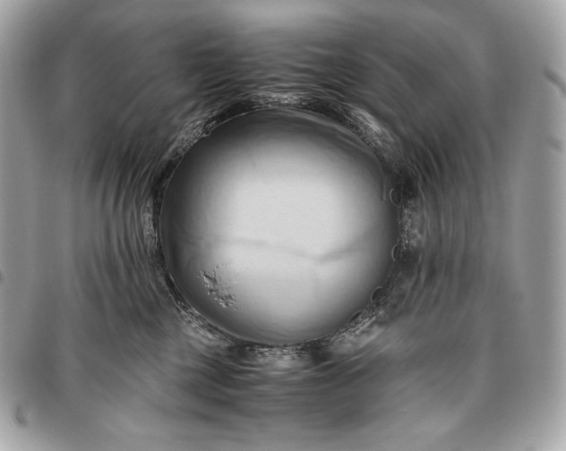 X0000096460377200802071839