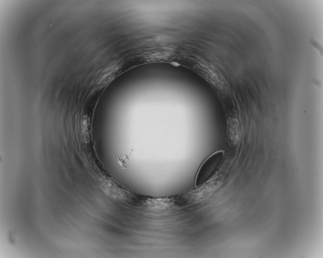X0000096460378200802071839