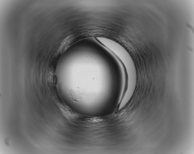 X0000096460379200802071839