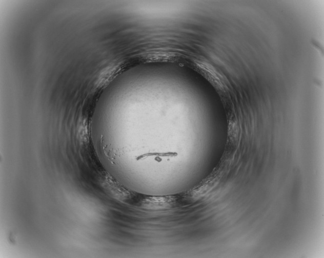 X0000096460381200802071839