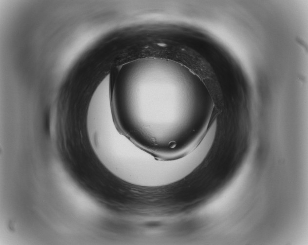 X0000096460382200802071839