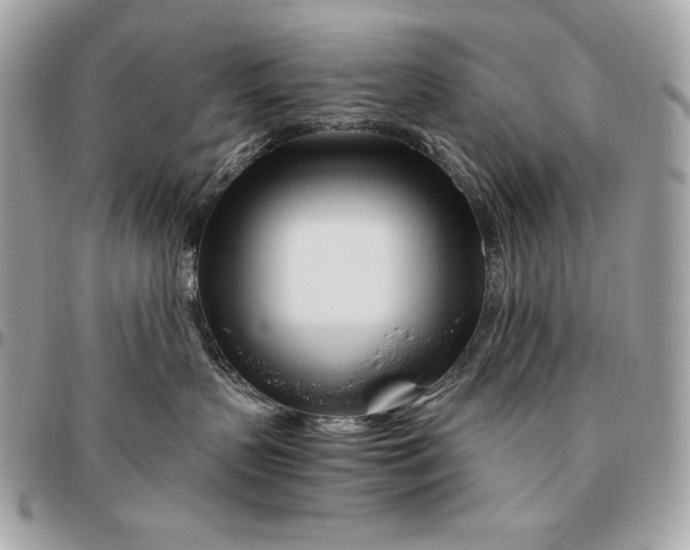 X0000096460383200802071839
