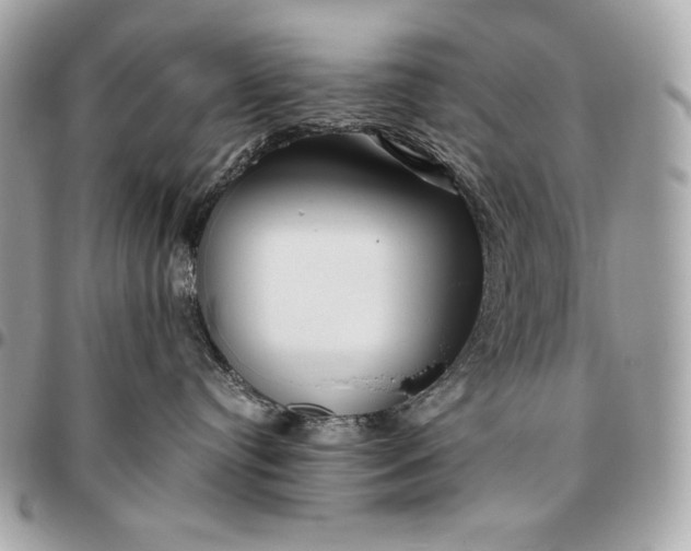 X0000096460384200802071839