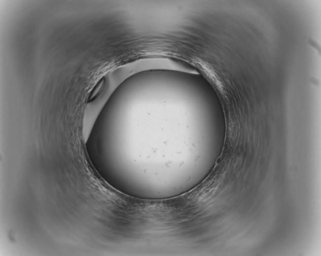 X0000096460385200802071838
