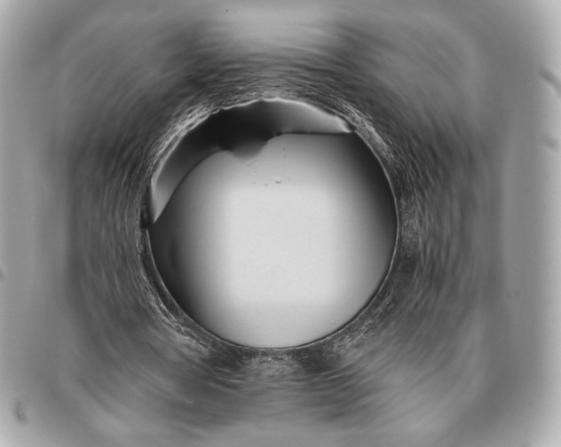 X0000096460386200802071838