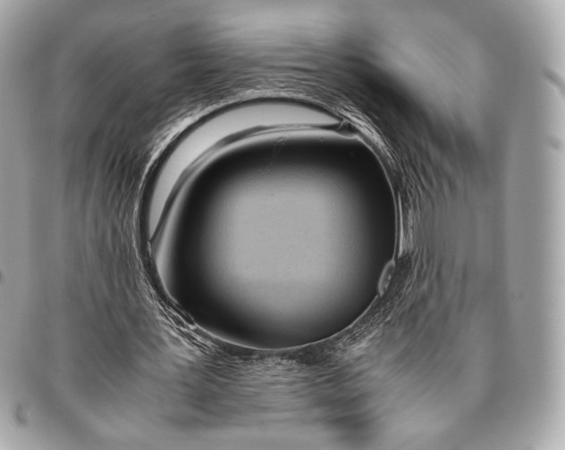 X0000096460387200802071838