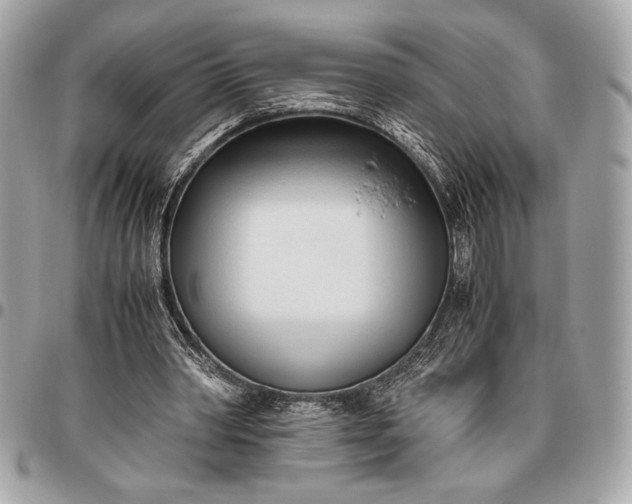 X0000096460390200802071838