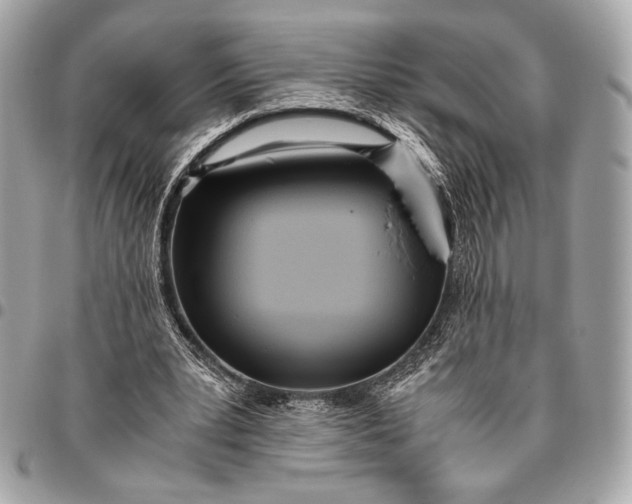 X0000096460391200802071838