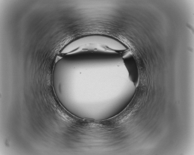 X0000096460393200802071838