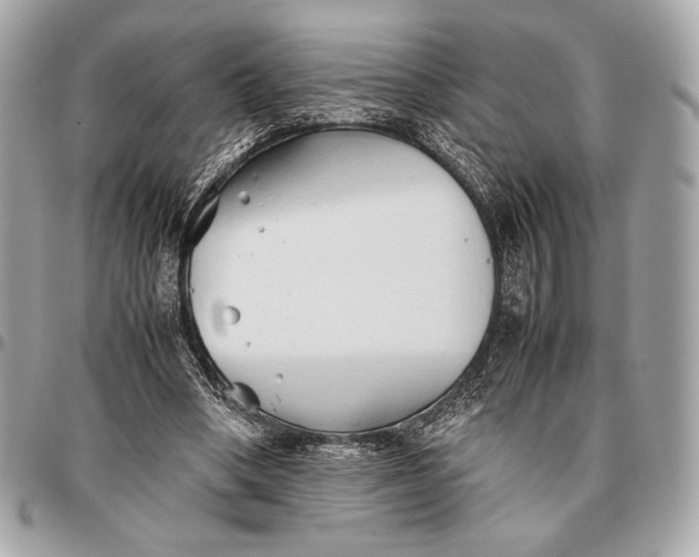 X0000096460394200802071838
