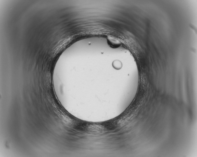 X0000096460397200802071838