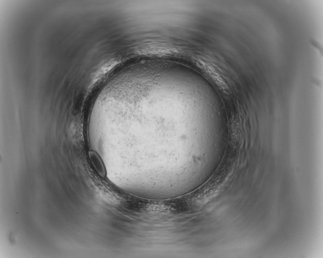 X0000096460399200802071838