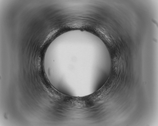 X0000096460400200802071838