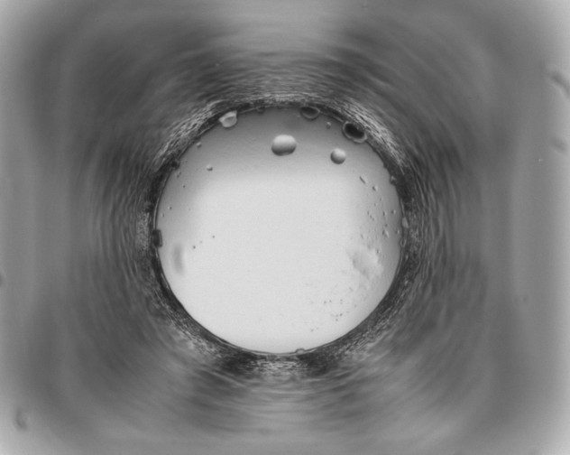 X0000096460401200802071838