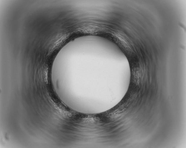 X0000096460404200802071838