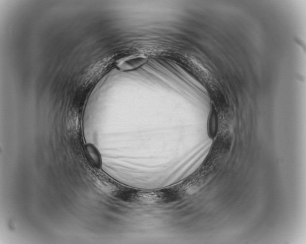 X0000096460405200802071838