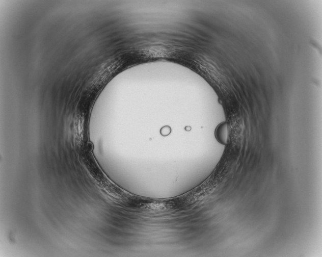 X0000096460406200802071838