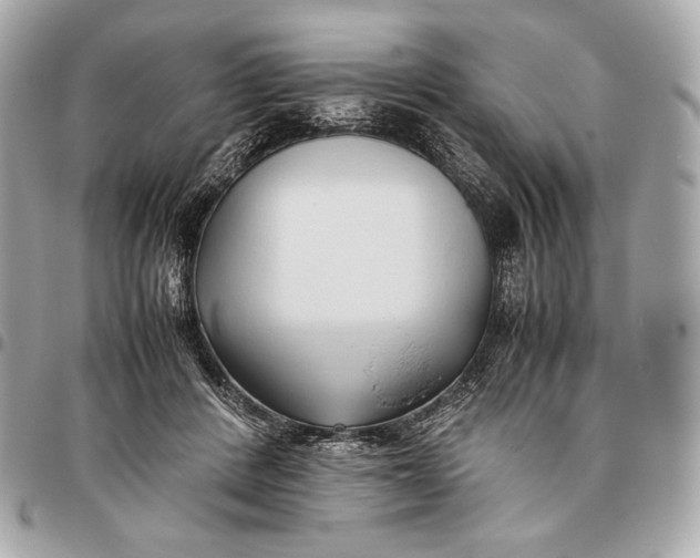 X0000096460408200802071838