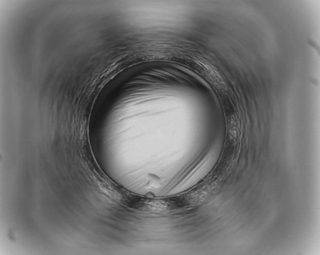 X0000096460409200802071838