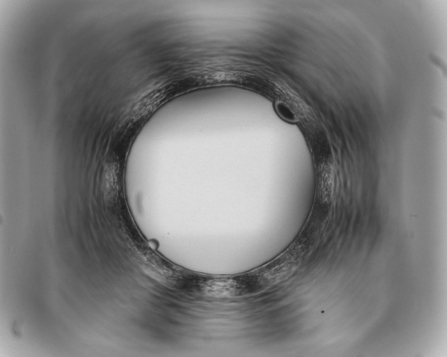 X0000096460410200802071838