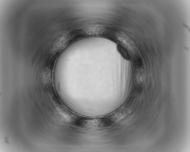 X0000096460411200802071838