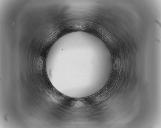 X0000096460412200802071838