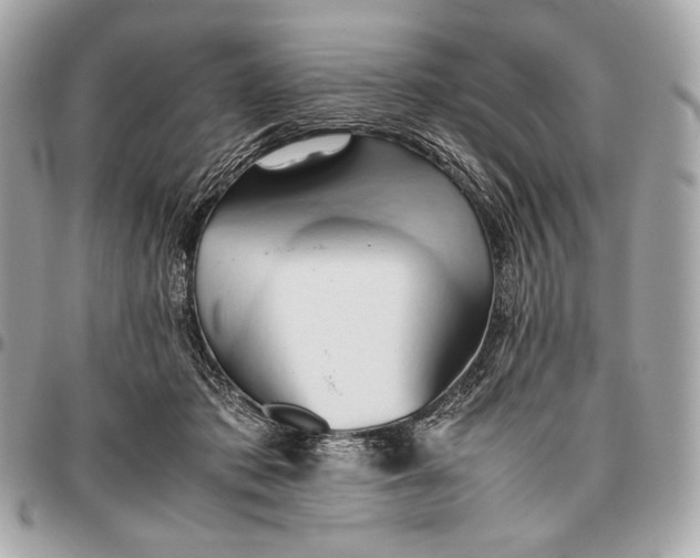 X0000096460413200802071838