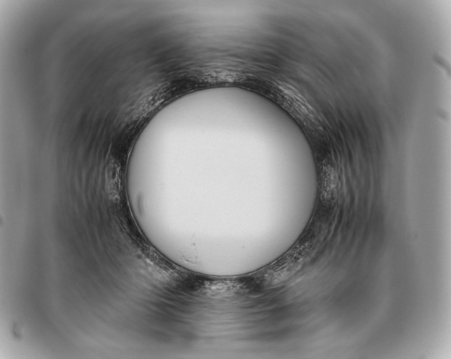 X0000096460414200802071838