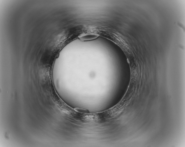 X0000096460415200802071838