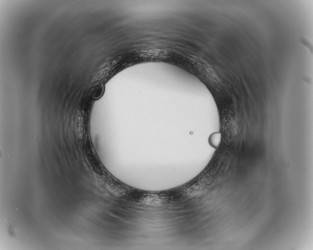 X0000096460416200802071838