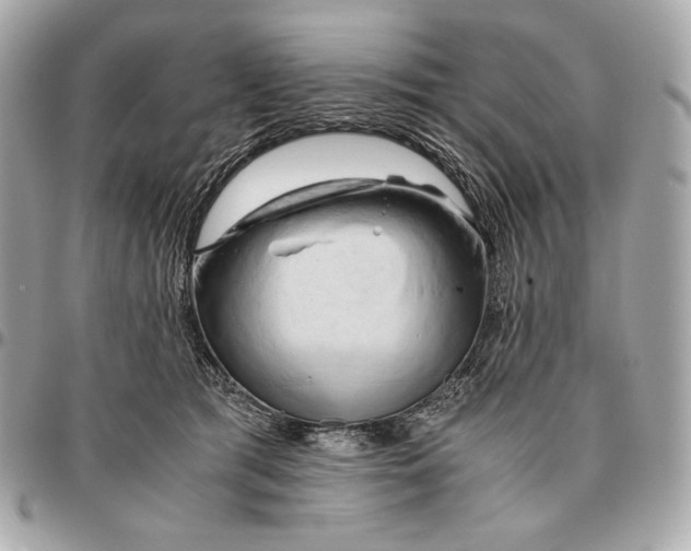 X0000096460417200802071838
